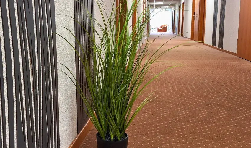 Hungarospa Thermal Hotel Hajdszoboszl - Augusztus 20.