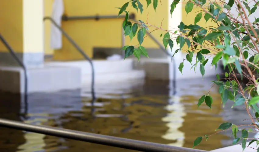 Hotel Hforrs Hajdszoboszl - Augusztus 20. (min. 2 j)