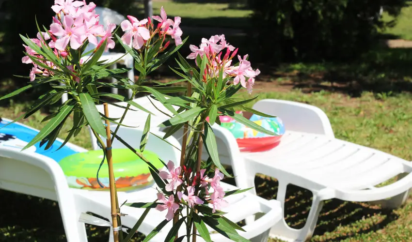 Hotel Hforrs Hajdszoboszl - Augusztus 20. (min. 2 j)