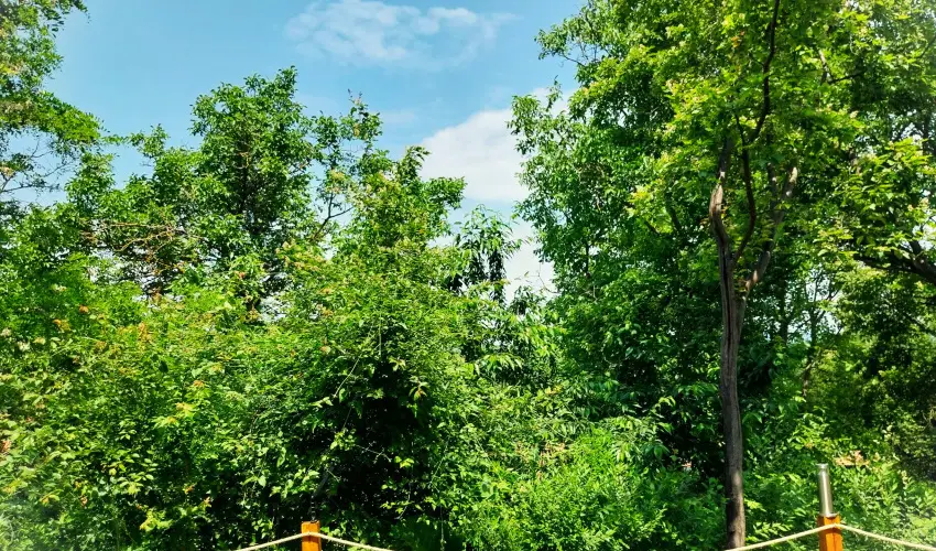 Hunor Vend�gh�z S�toralja�jhely - Augusztus 20. (min. 2 �j)