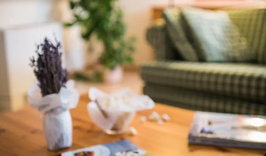 Imola Udvarhz Eger - Augusztus 20. (min. 2 j)