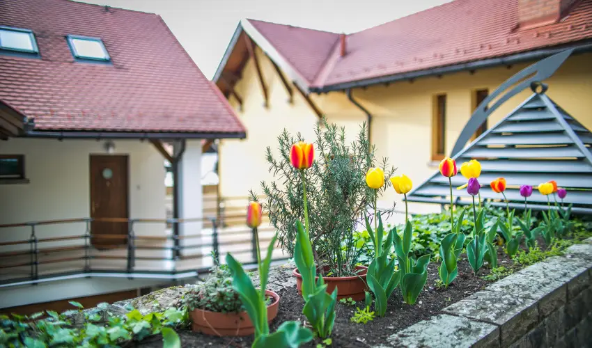 Imola Udvarhz Eger - Augusztus 20. (min. 2 j)