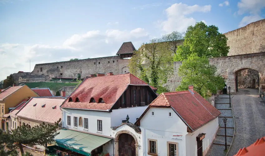 Imola Udvarhz Eger - Augusztus 20. (min. 2 j)