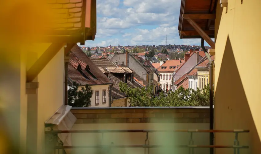 Imola Udvarhz Eger - Augusztus 20. (min. 2 j)