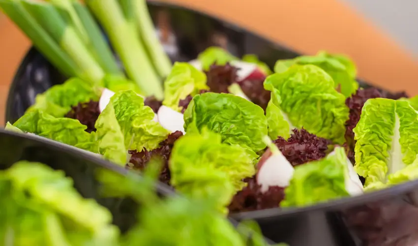 Impulso Fashion Hotel Budapest - Augusztus 20.