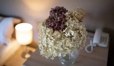 Zsanett Hotel Balatonkereszt�r