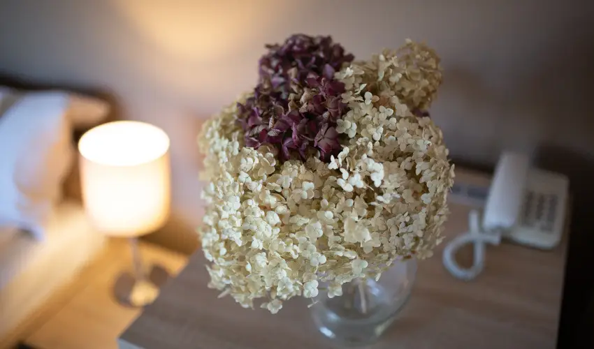 Zsanett Hotel Balatonkereszt�r - Augusztus 20.