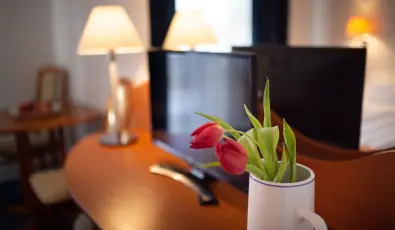 Zsanett Hotel Balatonkereszt�r