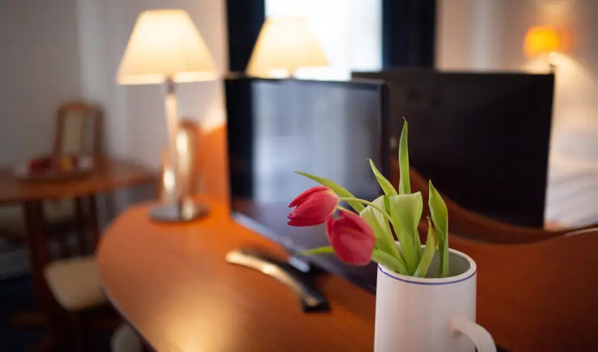 Zsanett Hotel Balatonkereszt�r - Augusztus 20.