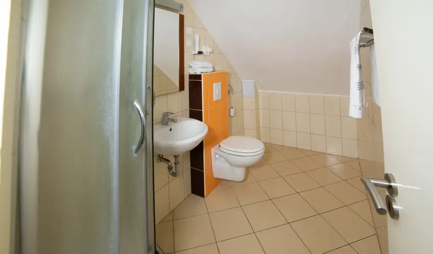 Zsanett Hotel Balatonkereszt�r - Augusztus 20.