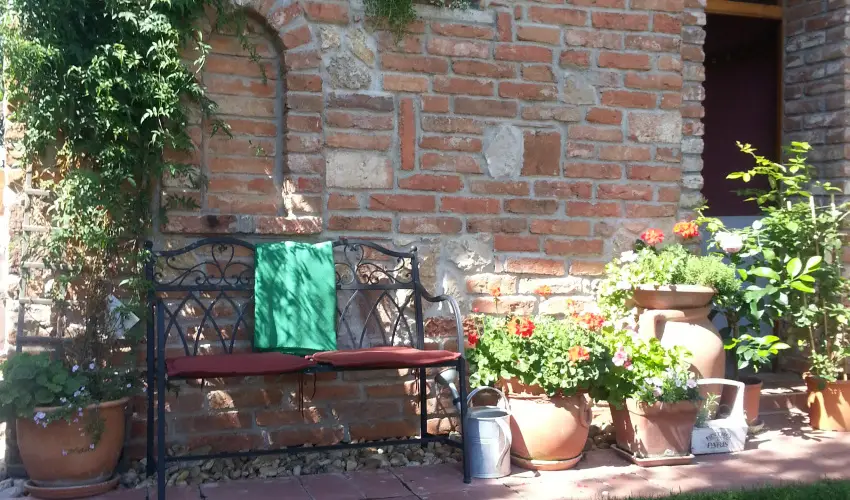 Jo Fogad Wellness Panzi Rbapaty - Augusztus 20.