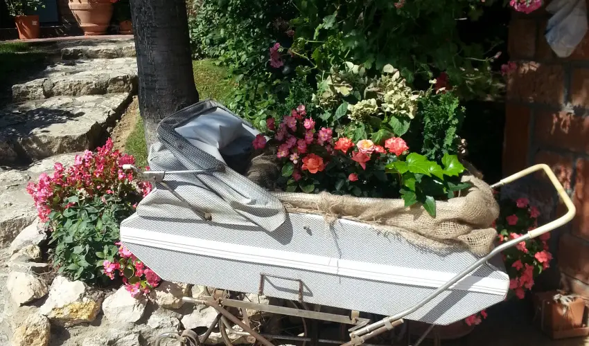 Jo Fogad Wellness Panzi Rbapaty - Augusztus 20.