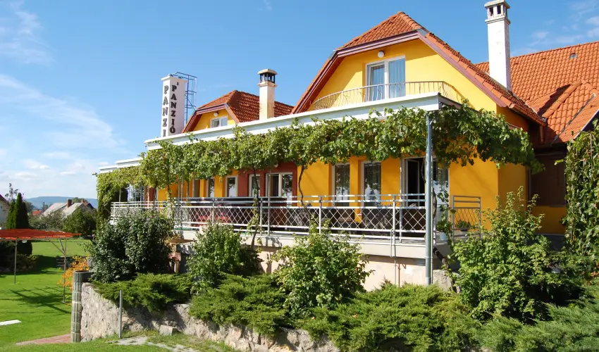 Judit Panzi� Tapolca-Gyulakeszi - Augusztus 20. (min. 2 �j)