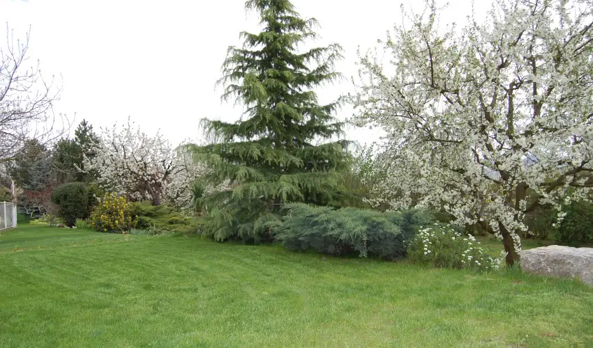 Judit Panzi� Tapolca-Gyulakeszi - Augusztus 20. (min. 2 �j)