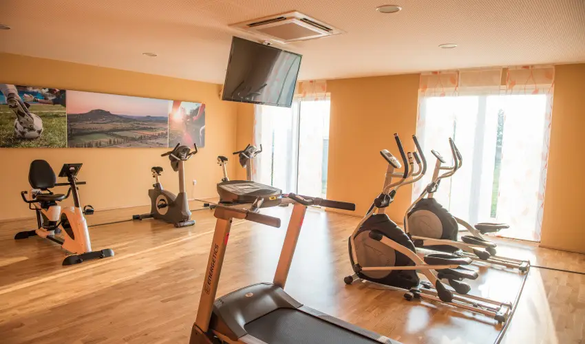 Vulkn Wellness Hotel s Kemping Celldmlk - Augusztus 20. (min. 2 j)