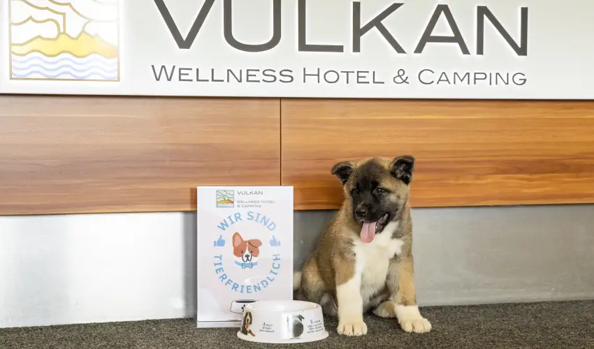 Vulkn Wellness Hotel s Kemping Celldmlk - Augusztus 20. (min. 2 j)