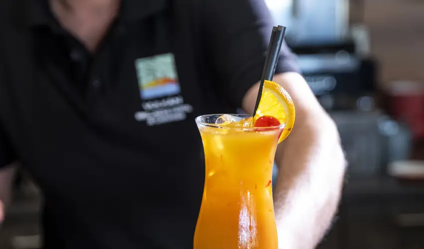 Vulkn Wellness Hotel s Kemping Celldmlk - Augusztus 20. (min. 2 j)