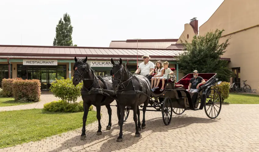 Vulkn Wellness Hotel s Kemping Celldmlk - Augusztus 20. (min. 2 j)