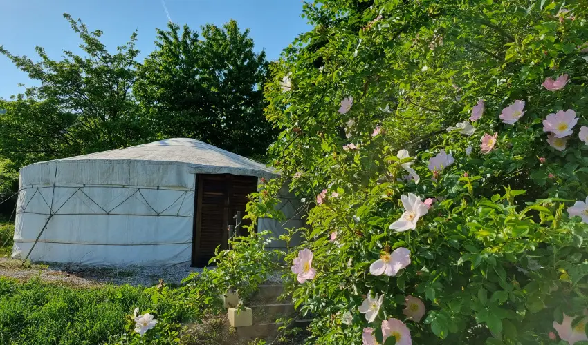 Jurta Spirit Hotel Balatongy�r�k - Augusztus 20.