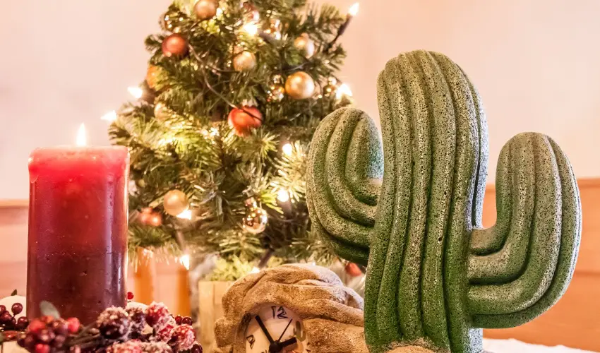 Kaktusz Villa H�v�z - Augusztus 20. (min. 2 �j)