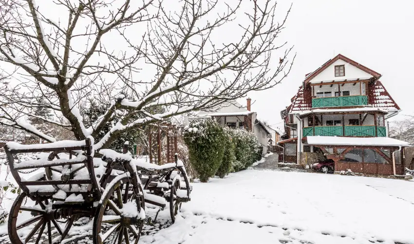 Kaktusz Villa H�v�z - Augusztus 20. (min. 2 �j)