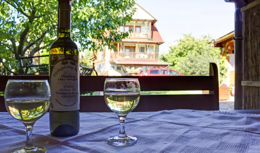 Kaktusz Villa H�v�z - Augusztus 20. (min. 2 �j)