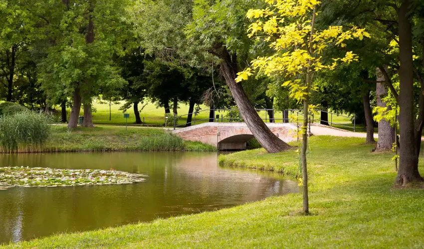 Krolyi Kastly Hotel & Restaurant  Fehrvrcsurg - Augusztus 20.