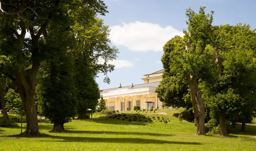 Krolyi Kastly Hotel & Restaurant  Fehrvrcsurg - Augusztus 20.