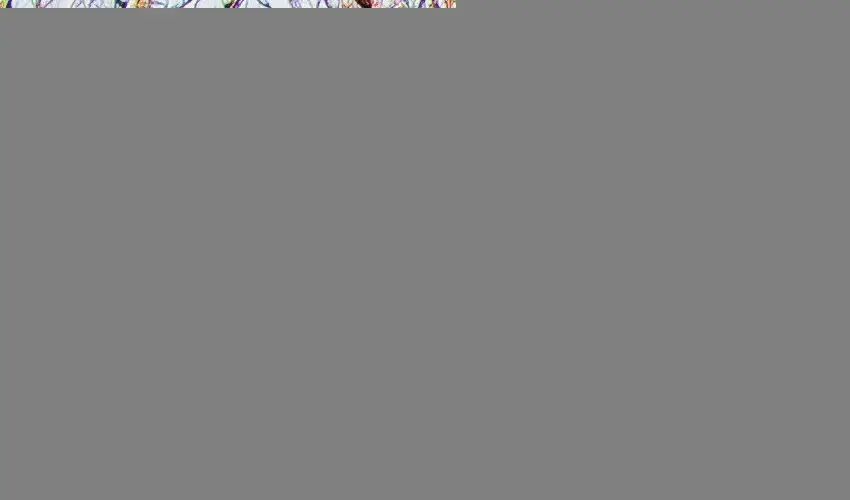 Kastello Vend�gh�z Nagykoz�r - Augusztus 20. (min. 2 �j)