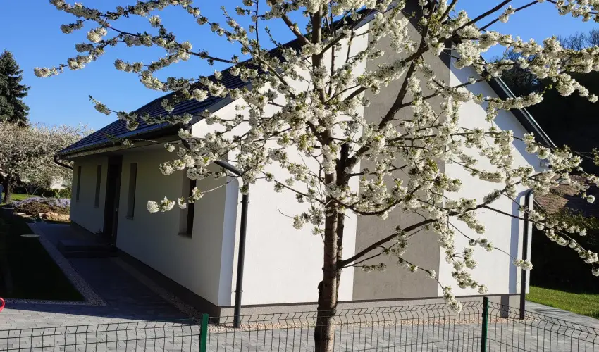 Kat�ng Vend�gh�z Tardos - Augusztus 20. (min. 2 �j)