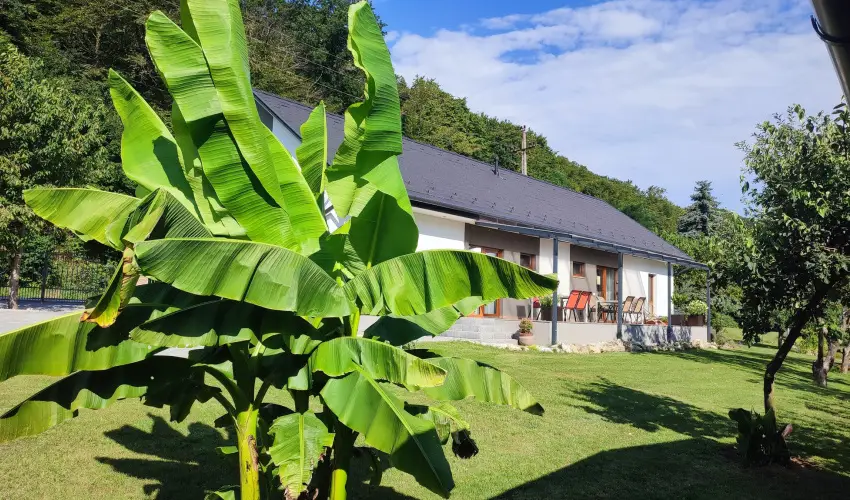 Kat�ng Vend�gh�z Tardos - Augusztus 20. (min. 2 �j)