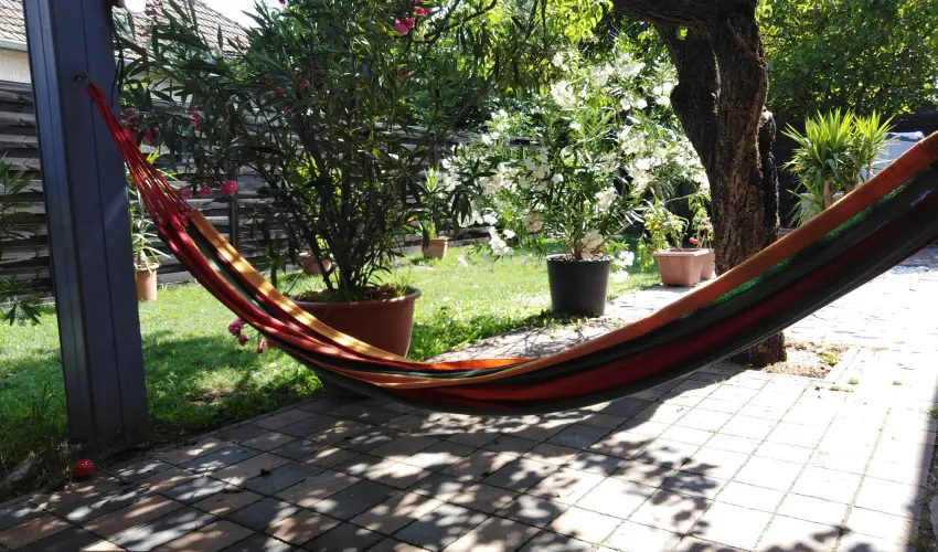 Kkmadr Vendghz Homokmgy - Augusztus 20.