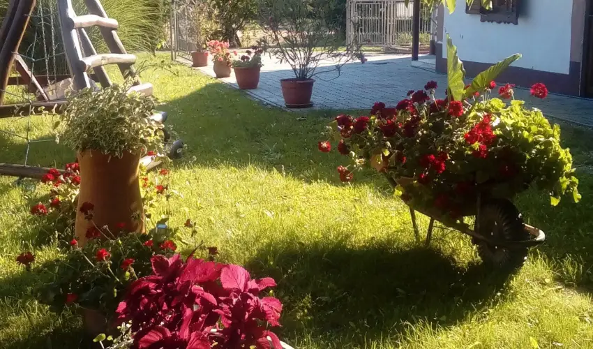 Kerka Vendghz Csesztreg - Augusztus 20. (min. 2 j)