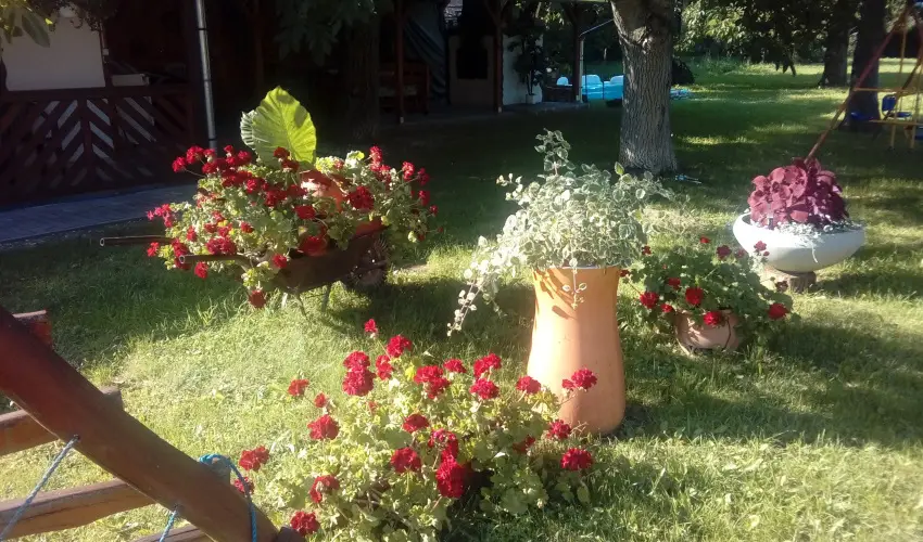 Kerka Vendghz Csesztreg - Augusztus 20. (min. 2 j)