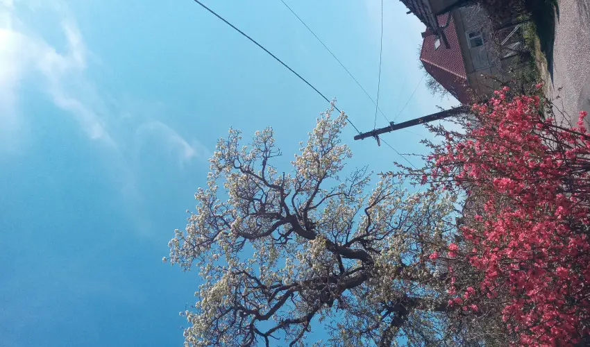 Kerka Vendghz Csesztreg - Augusztus 20. (min. 2 j)