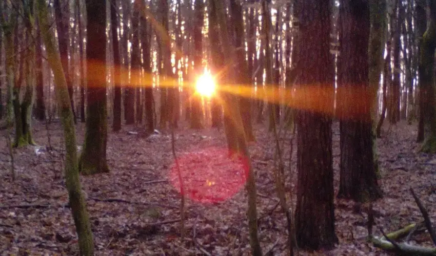 Kerka Vendghz Csesztreg - Augusztus 20. (min. 2 j)