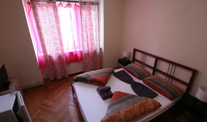 K�bor Macska Fogad� K�szeg - Augusztus 20.