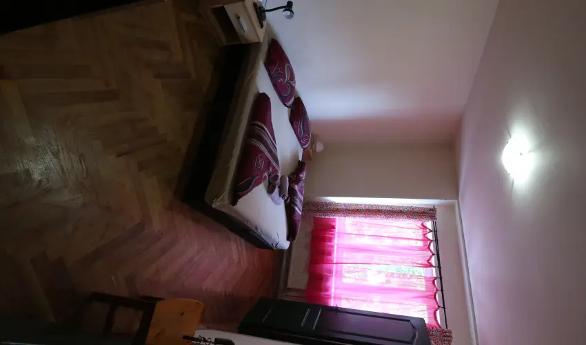 K�bor Macska Fogad� K�szeg - Augusztus 20.