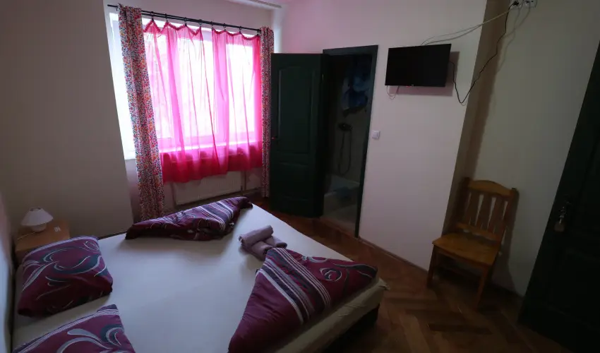 K�bor Macska Fogad� K�szeg - Augusztus 20.