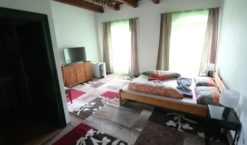 K�bor Macska Fogad� K�szeg - Augusztus 20.