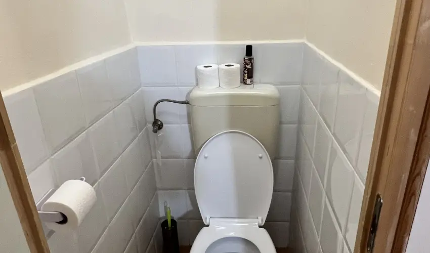 K�bor Macska Fogad� K�szeg - Augusztus 20.