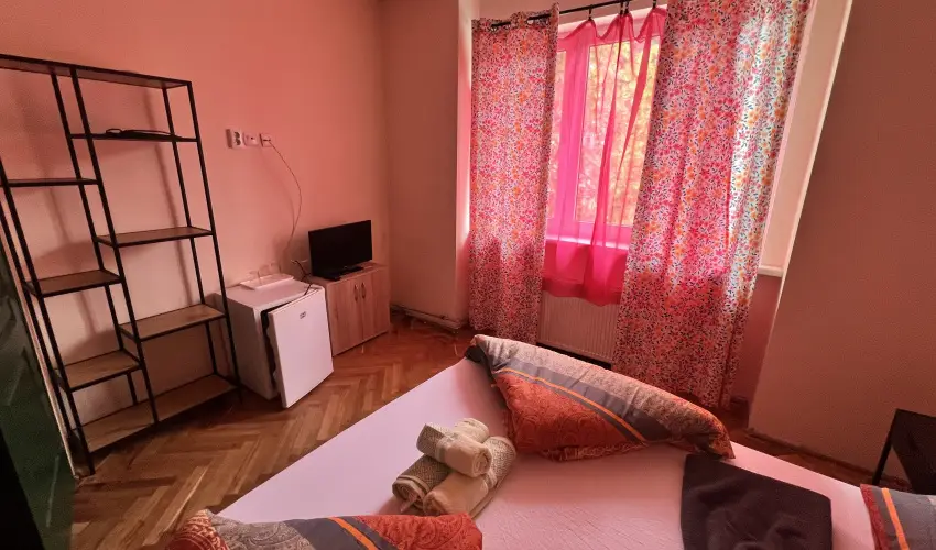 K�bor Macska Fogad� K�szeg - Augusztus 20.