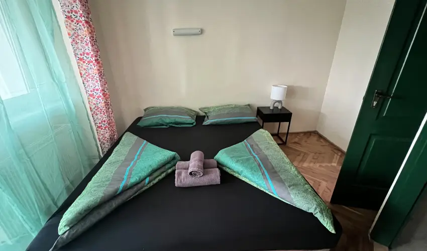 K�bor Macska Fogad� K�szeg - Augusztus 20.