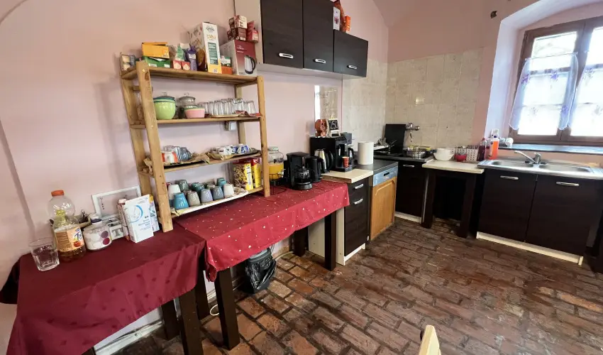 K�bor Macska Fogad� K�szeg - Augusztus 20.