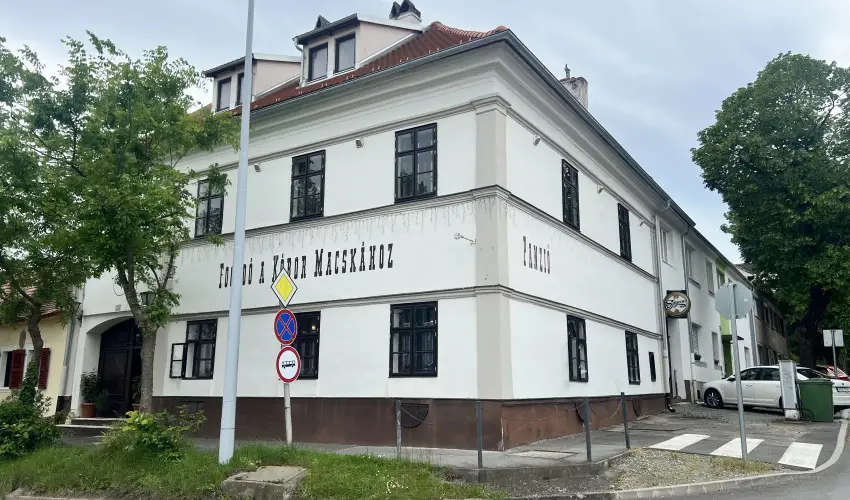 K�bor Macska Fogad� K�szeg - Augusztus 20.