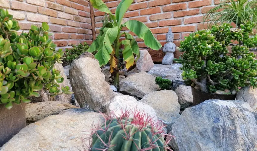 K�kert Pihen�h�z K�szeg - Augusztus 20.