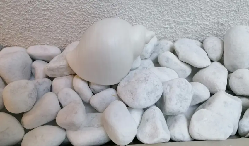 K�kert Pihen�h�z K�szeg - Augusztus 20.