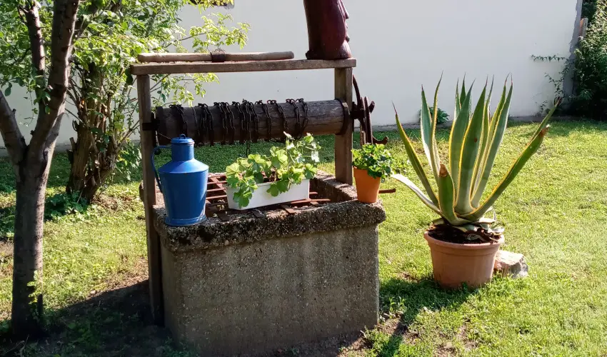 Krs Vendghz Szarvas - Augusztus 20. (min. 3 j)