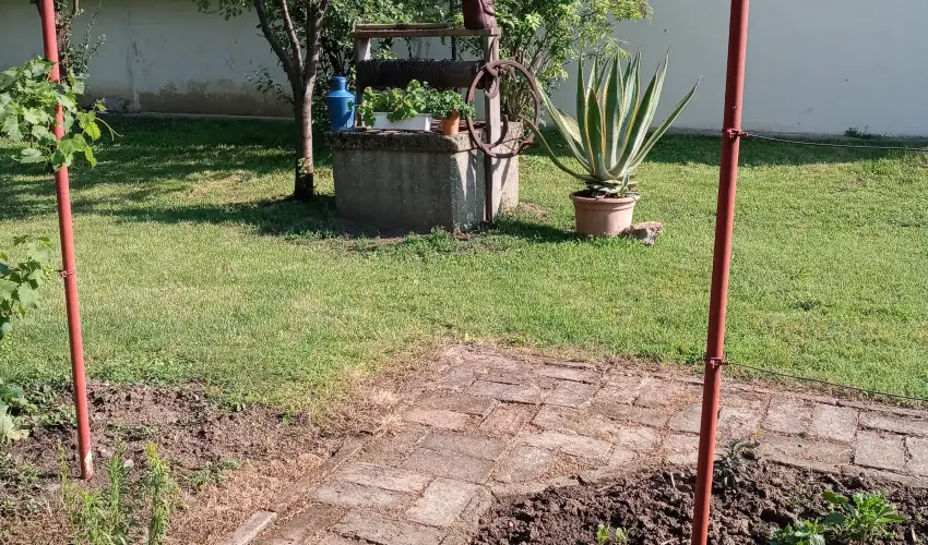 Krs Vendghz Szarvas - Augusztus 20. (min. 3 j)