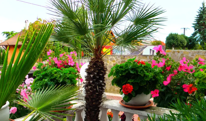 Kristly Apartman Hvz - Augusztus 20. (min. 2 j)